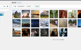 WordPress 后台内容整理利器——Wicked Folders 的功能与实践